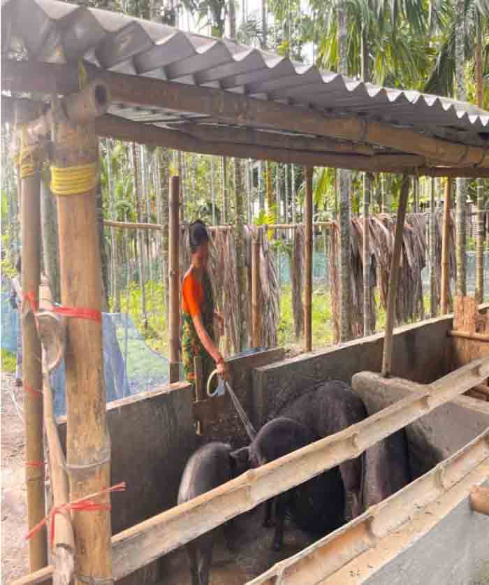 Dipa Bharati Magar
