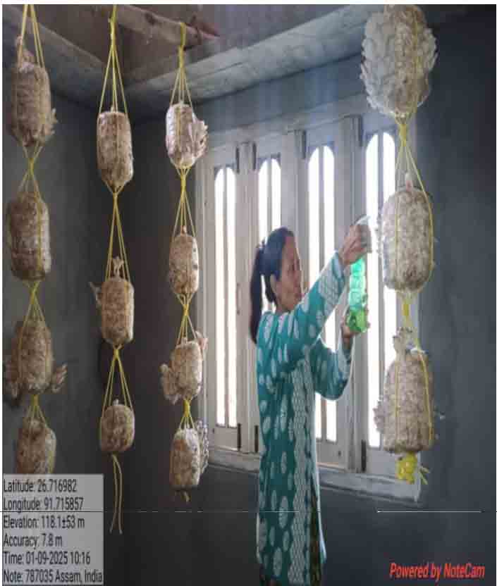 Livelihood Basket: A spectrum of Opportunities through multiple on-farm activities